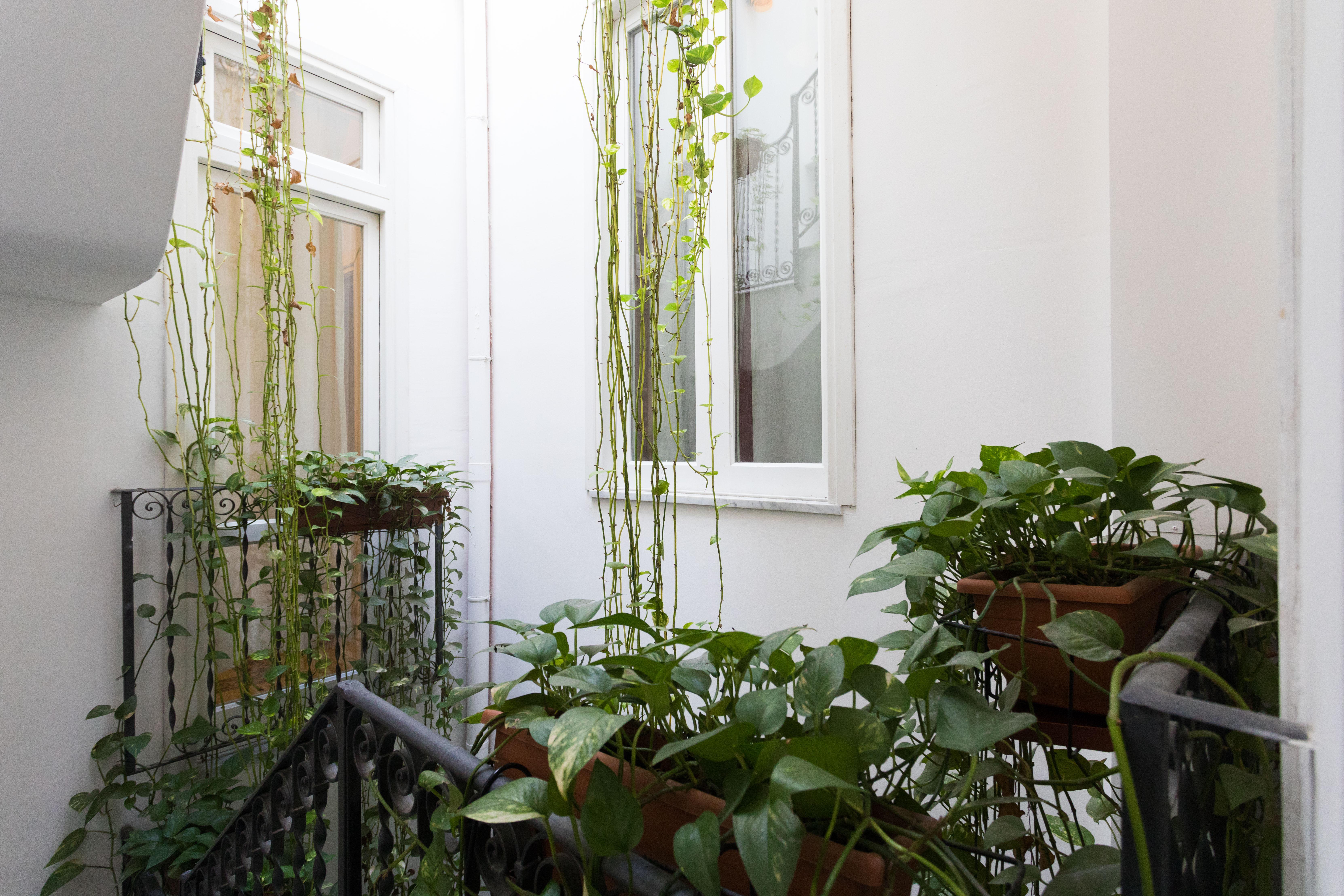 Ai Tintori Bed & Breakfast Palermo Exterior photo