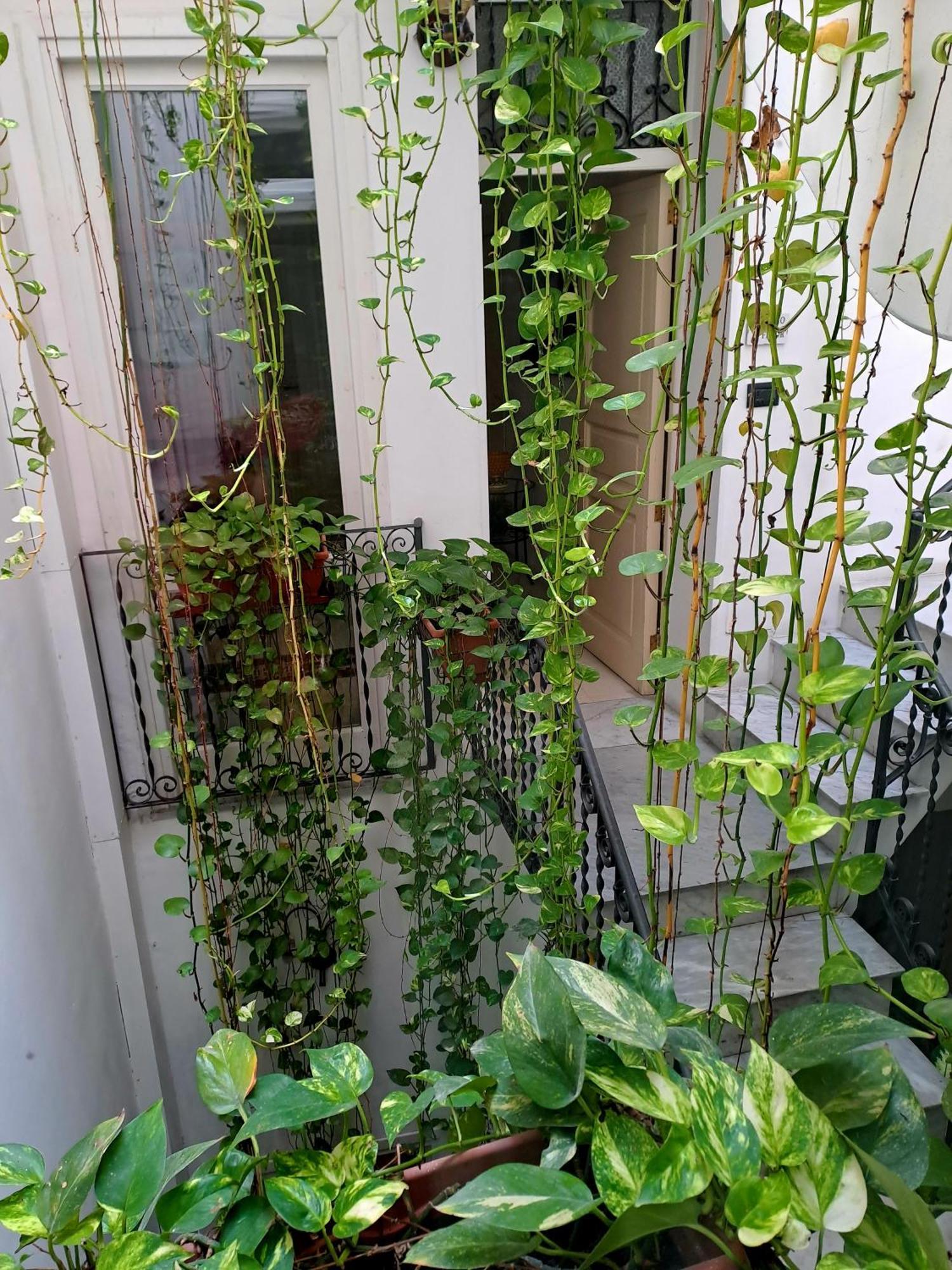 Ai Tintori Bed & Breakfast Palermo Exterior photo